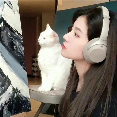 绢恋